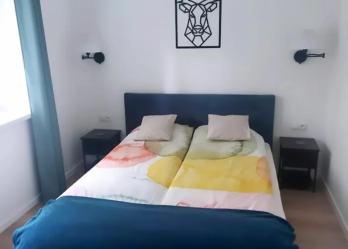 아파트 Dabrowka 10 *